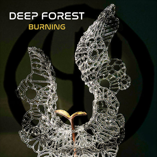 DEEP FOREST BURNING